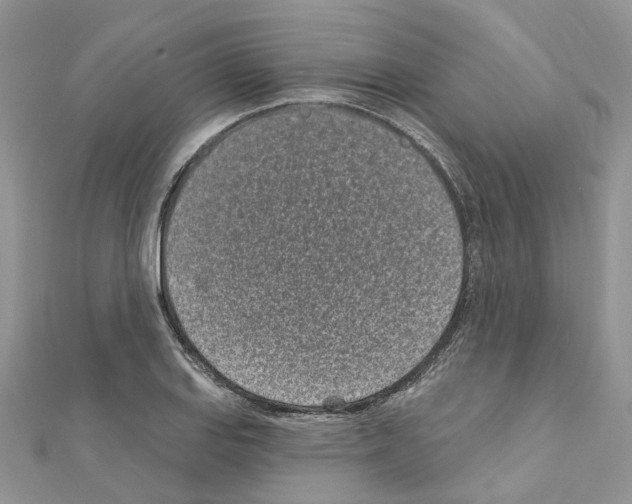 X0000110881127200907301428