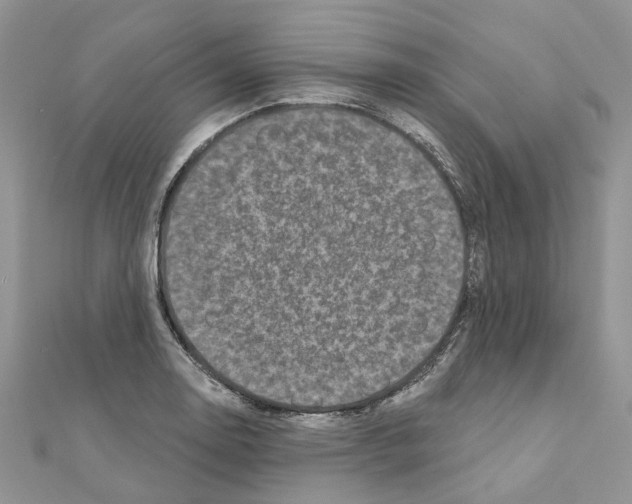 X0000110881130200907301428