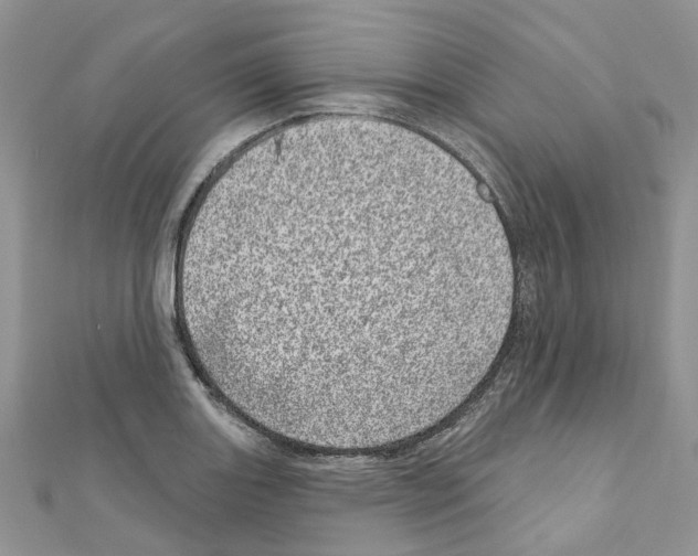 X0000110881131200907301428