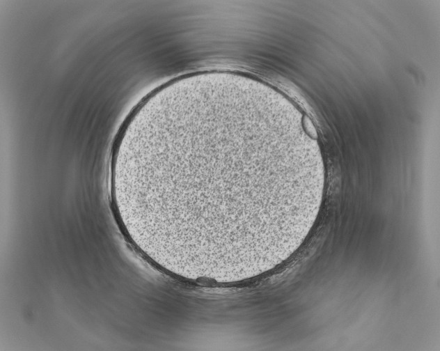 X0000110881132200907301428