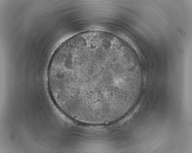 X0000110881133200907301428