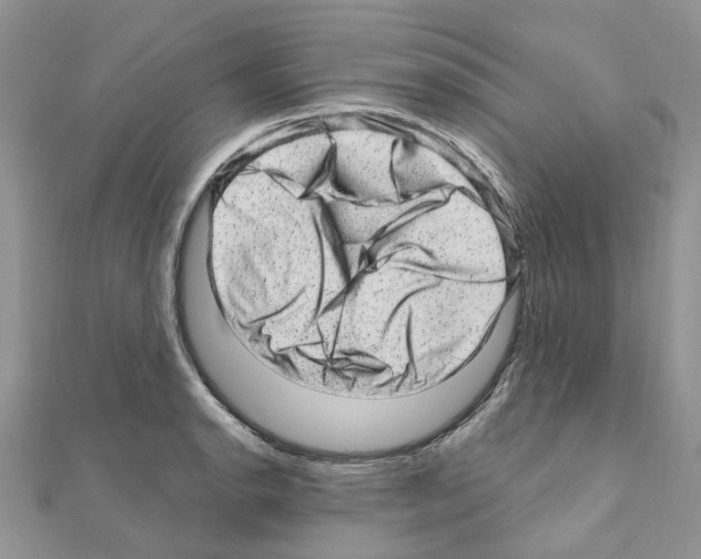 X0000110881134200907301428