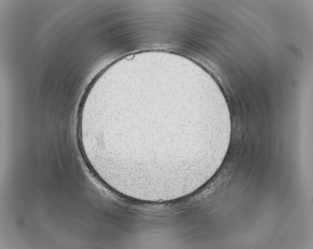 X0000110881135200907301428