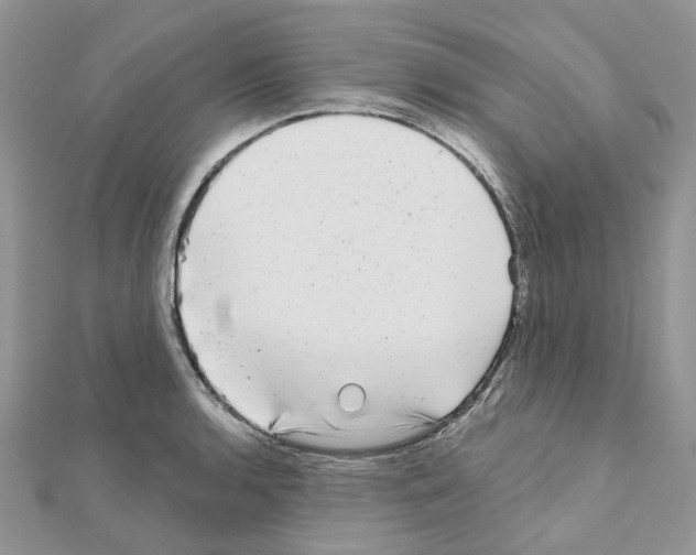 X0000110881136200907301428