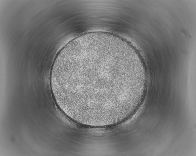 X0000110881137200907301428