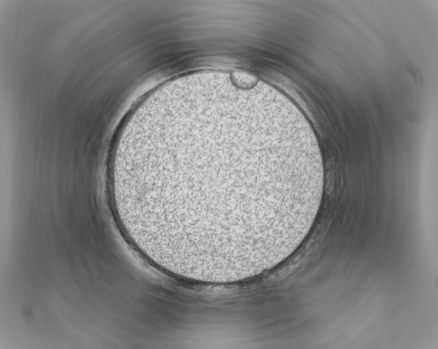 X0000110881139200907301428