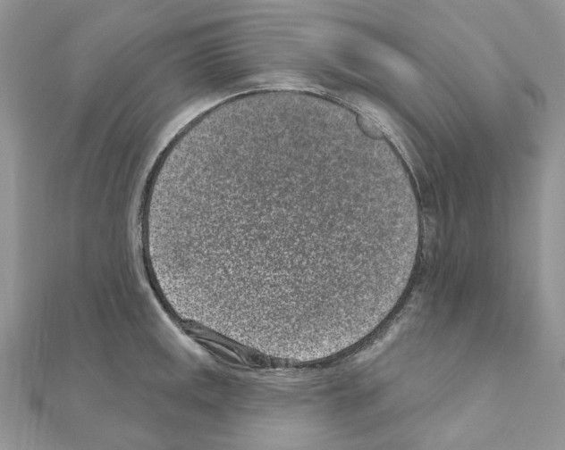 X0000110881141200907301428