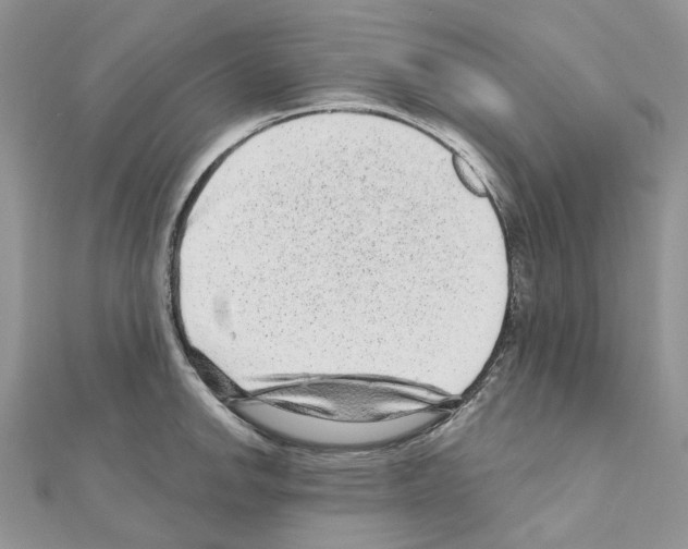 X0000110881142200907301428