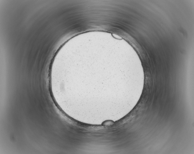 X0000110881143200907301428