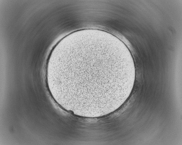 X0000110881144200907301428