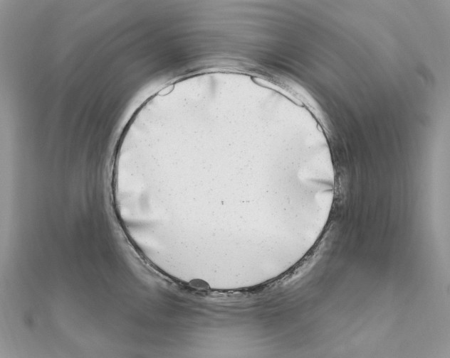 X0000110881146200907301428