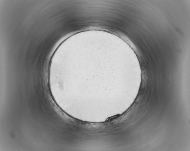 X0000110881148200907301428