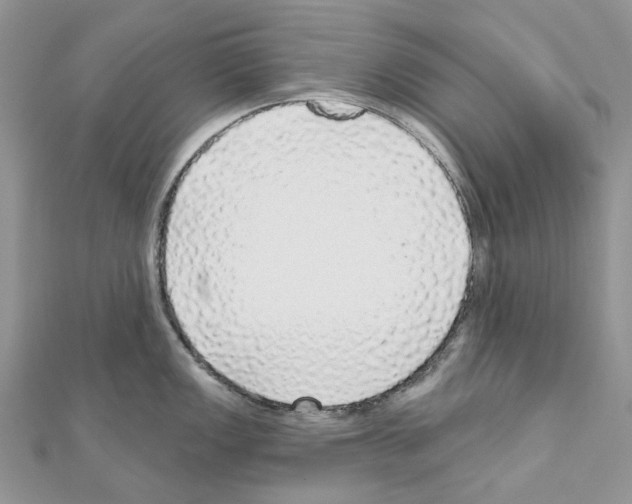 X0000110881149200907301428