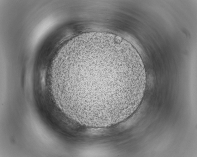 X0000110881150200907301428