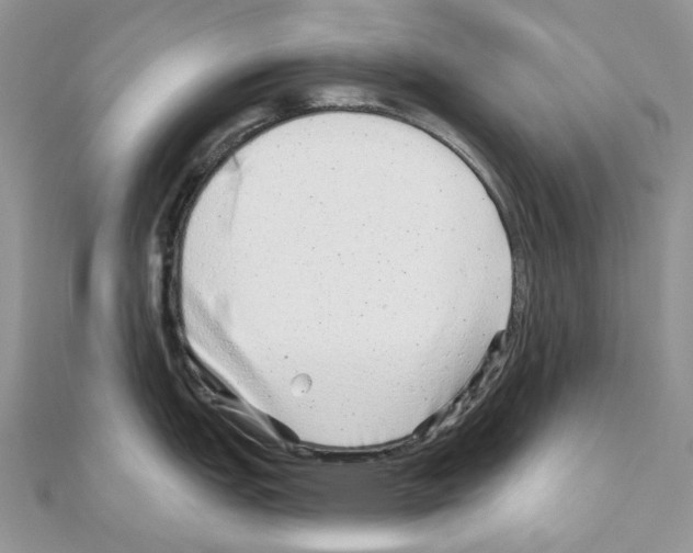 X0000110881151200907301428