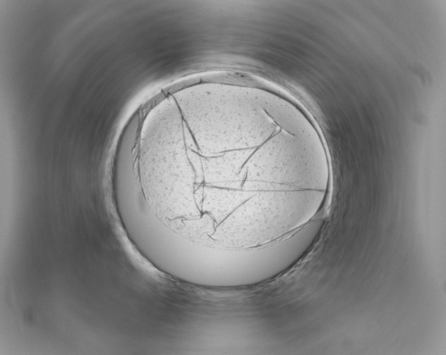 X0000110881152200907301428