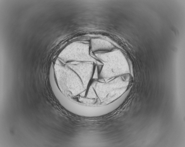 X0000110881157200907301428