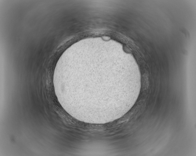 X0000110881158200907301428