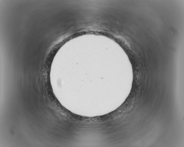 X0000110881159200907301428