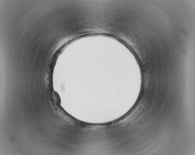 X0000110881163200907301428