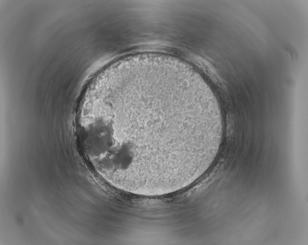 X0000110881164200907301428