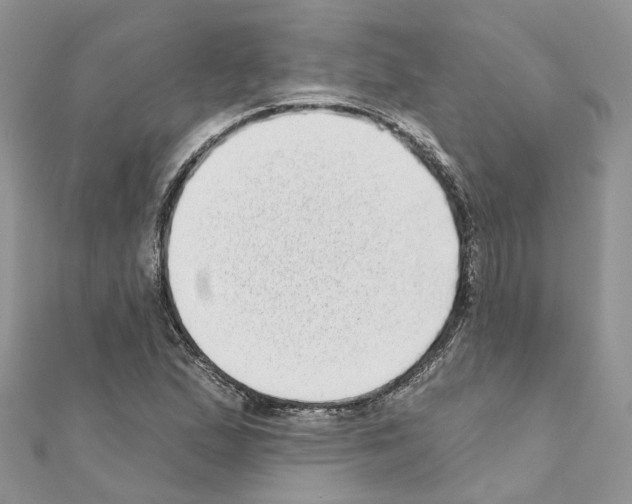 X0000110881167200907301428