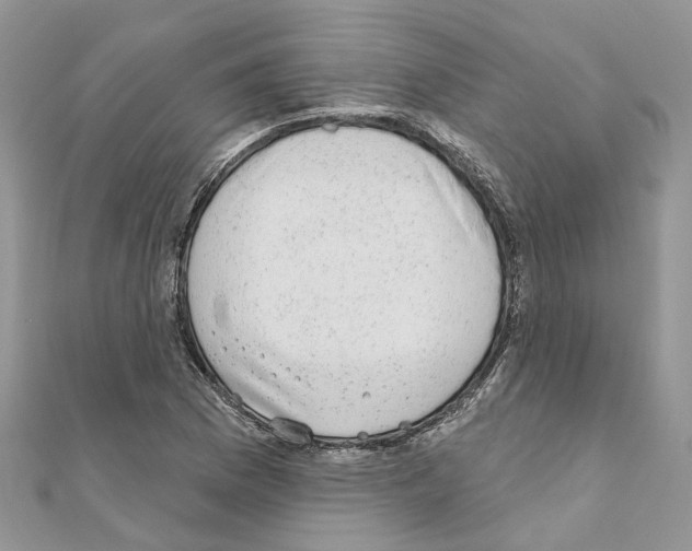 X0000110881169200907301428