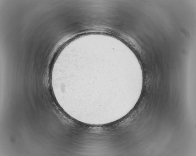 X0000110881172200907301428