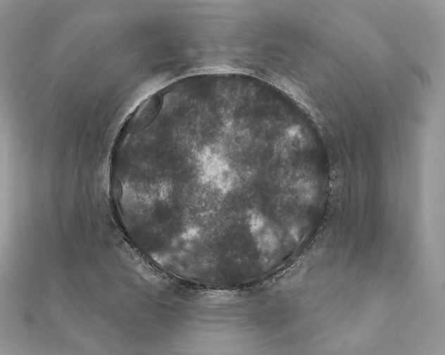 X0000110881173200907301428