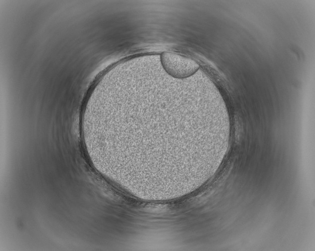 X0000110881174200907301427