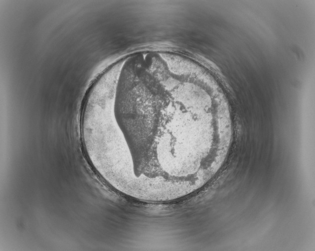 X0000110881176200907301427