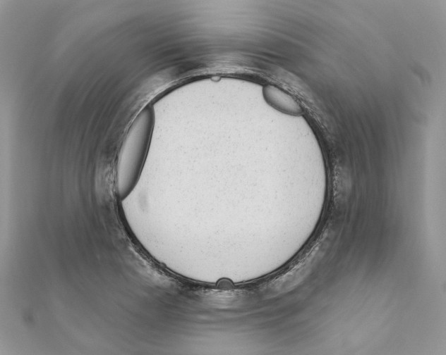 X0000110881177200907301427