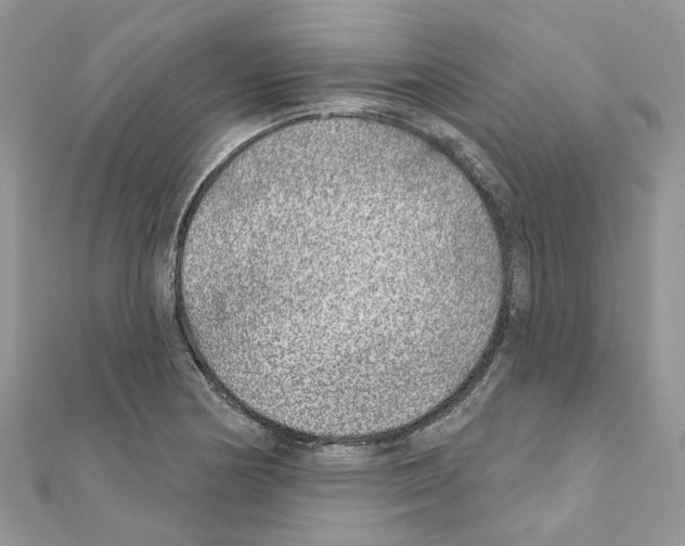 X0000110881178200907301427