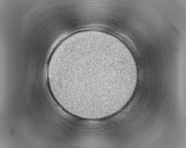 X0000110881180200907301427