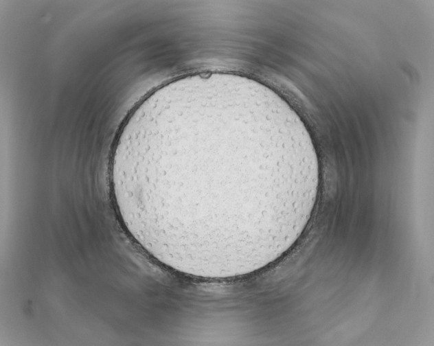 X0000110881182200907301427