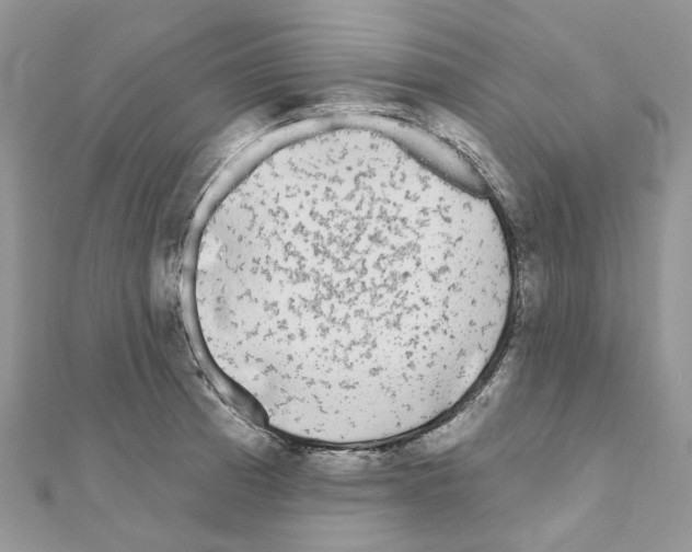 X0000110881185200907301427