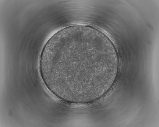 X0000110881187200907301427