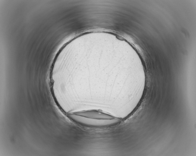 X0000110881189200907301427