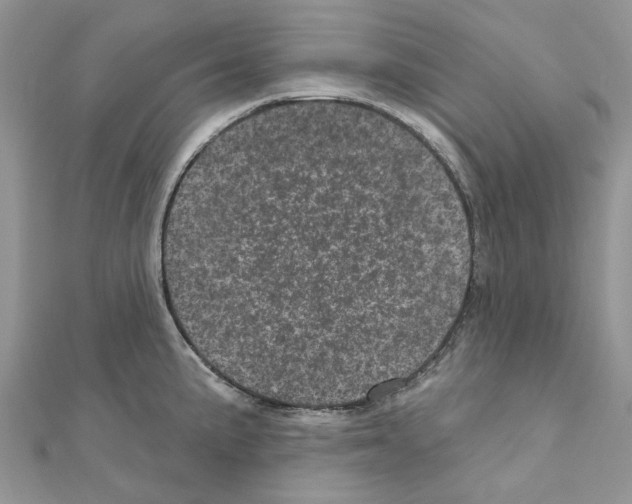 X0000110881191200907301427