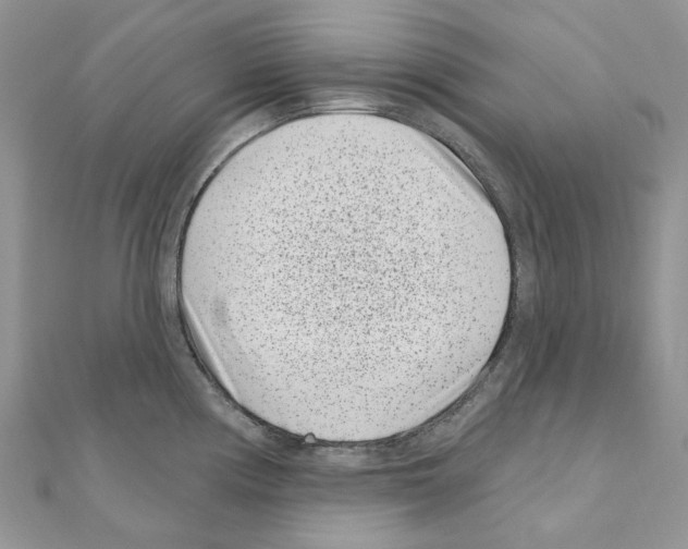 X0000110881194200907301427