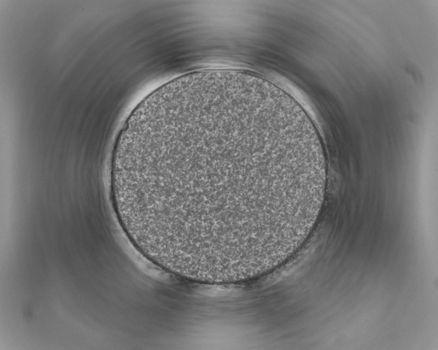 X0000110881195200907301427