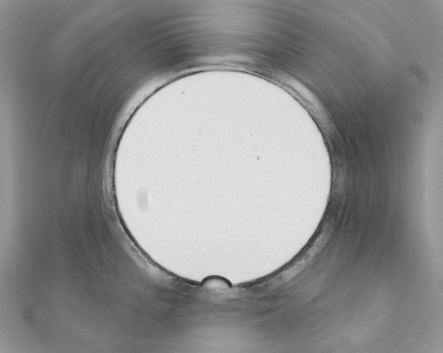 X0000110881196200907301427