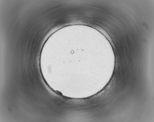 X0000110881197200907301427