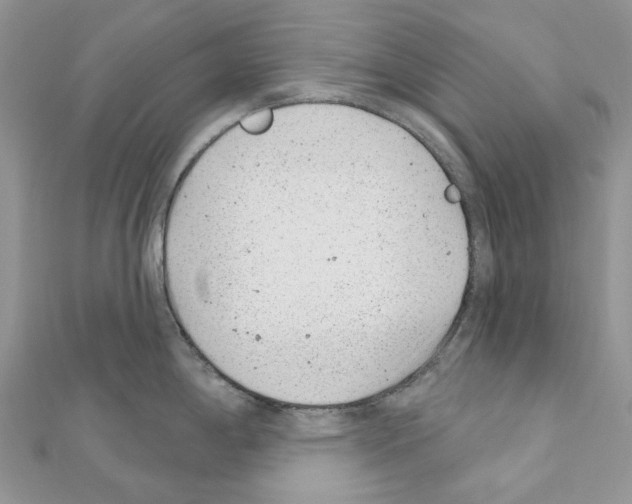 X0000110881198200907301427