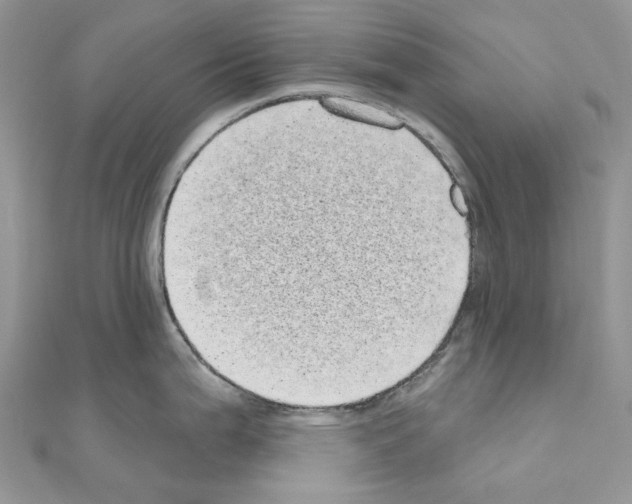 X0000110881199200907301427