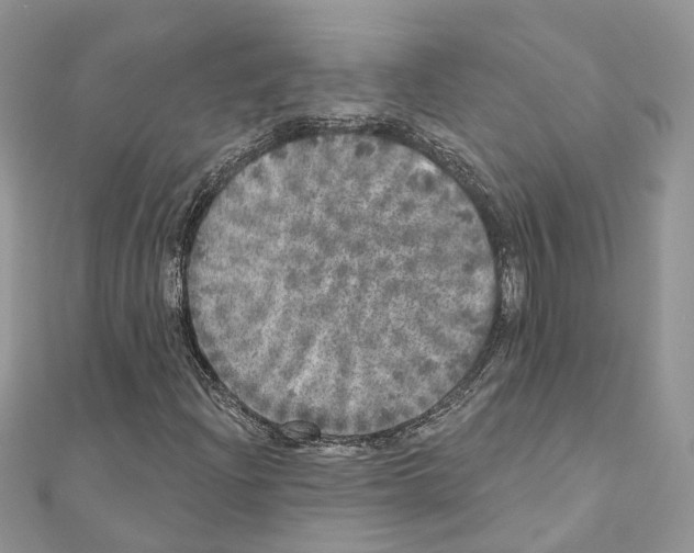 X0000110881204200907301427