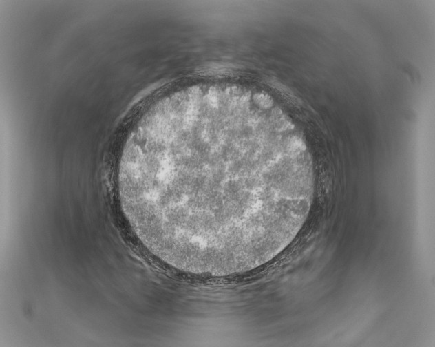 X0000110881206200907301427