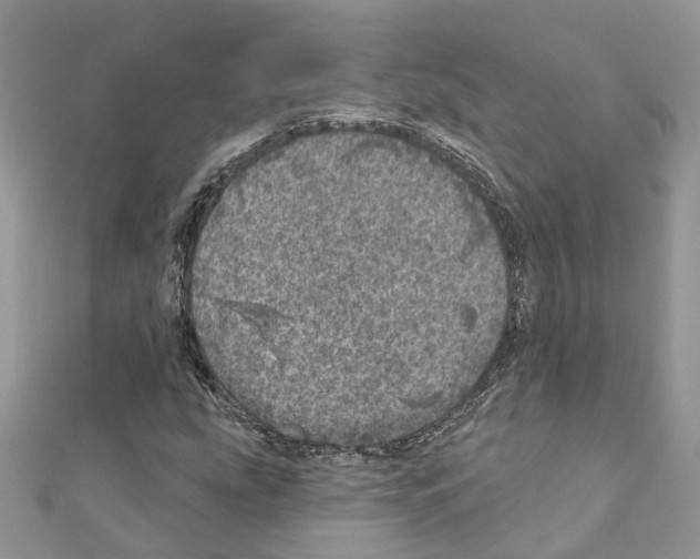 X0000110881207200907301427