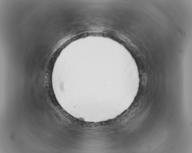 X0000110881208200907301427