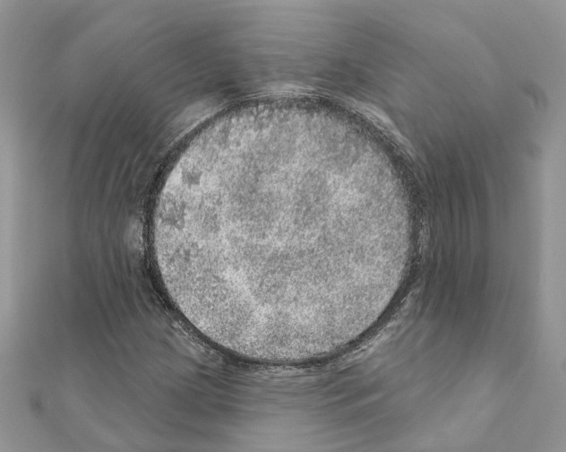 X0000110881209200907301427